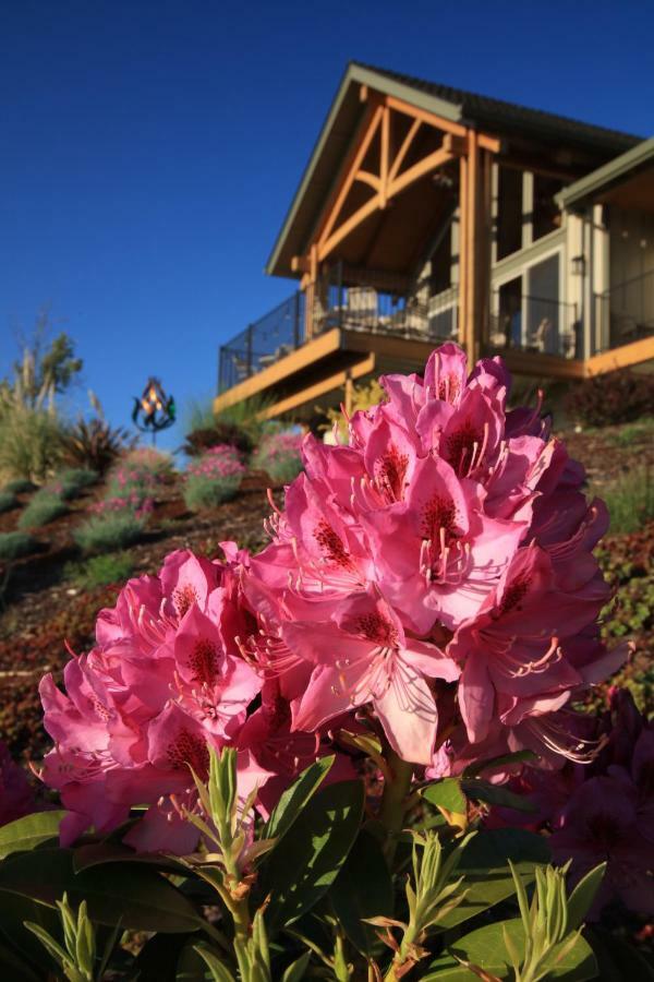 Amity Bella Collina Bed And Breakfast المظهر الخارجي الصورة